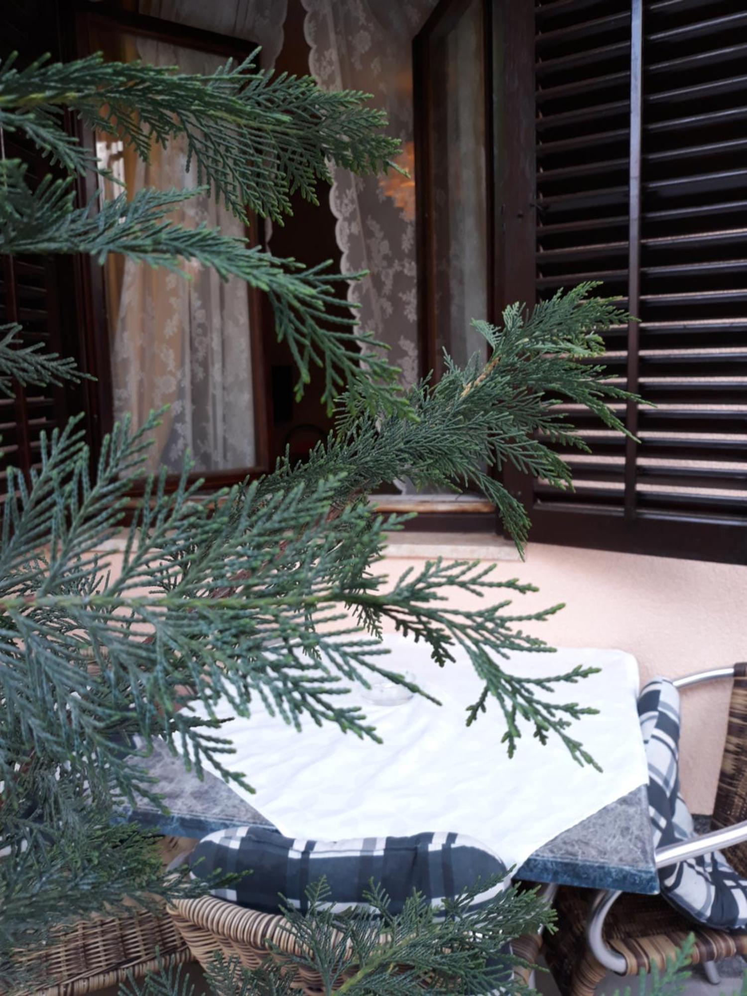 Garden * Rovinj